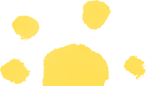 立足新中考,淬炼复习课——聚焦新中考的初三复习课听评活动 第10张