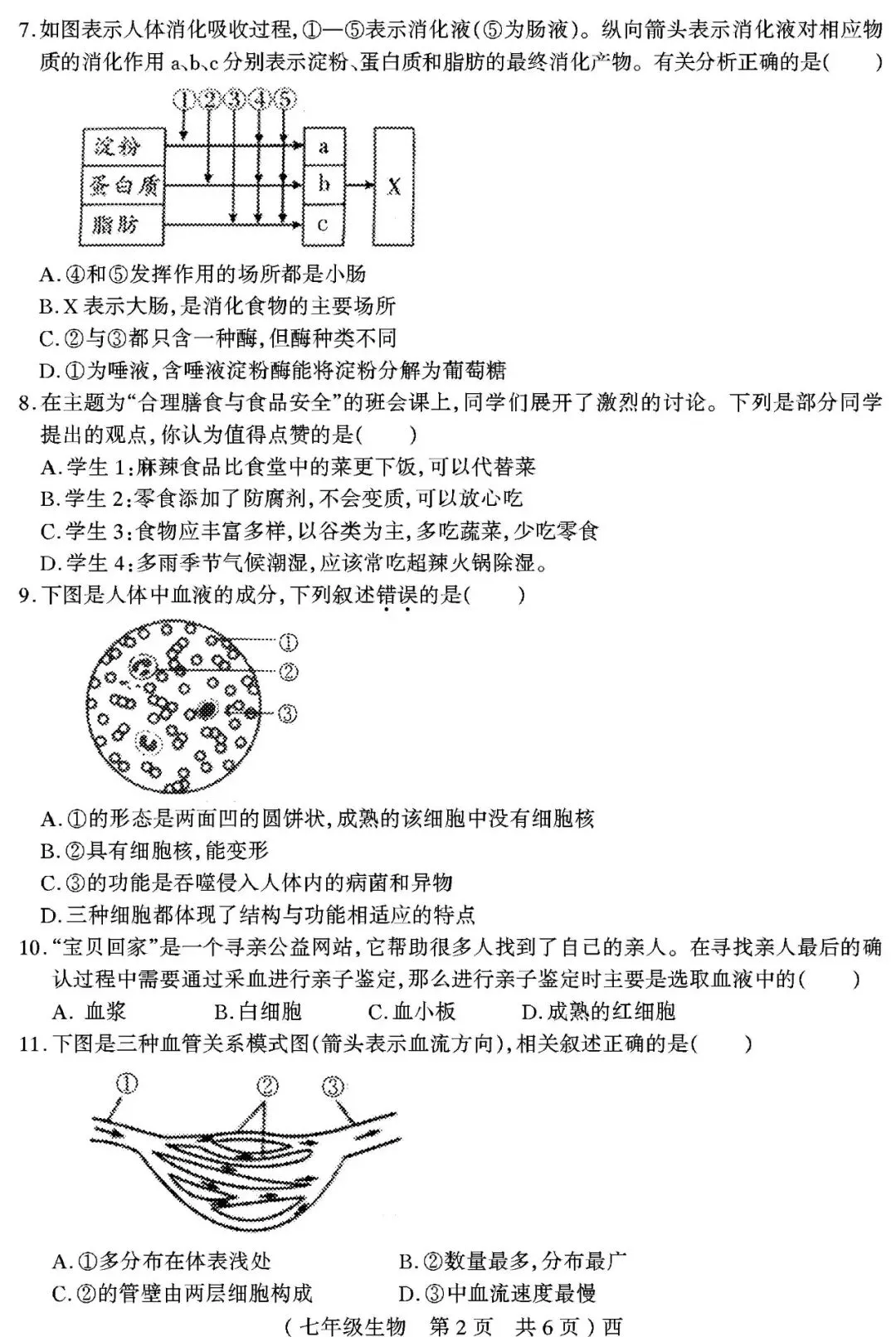 【真题再现】2025年春七年级生物期中试卷,后附答案 第3张