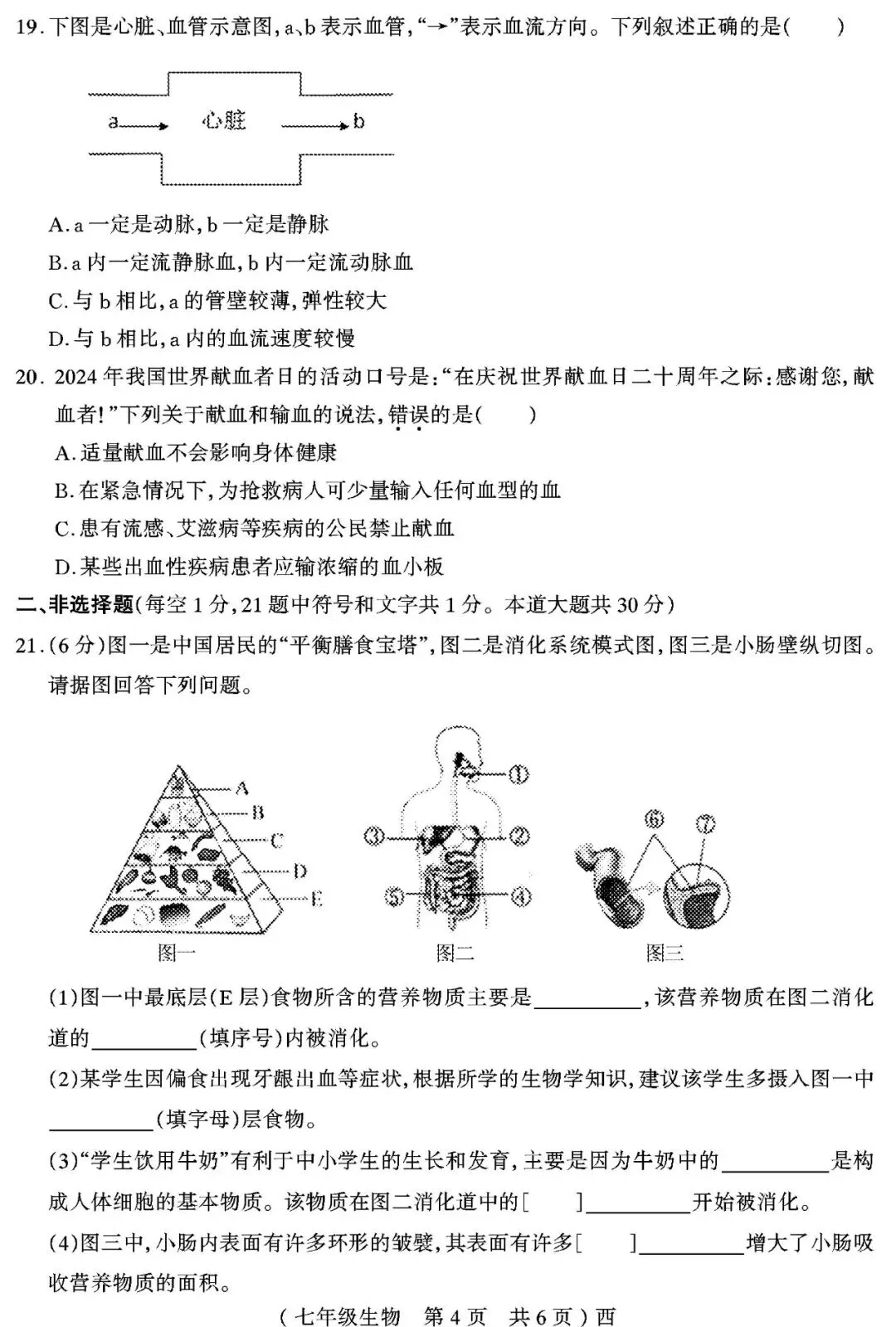 【真题再现】2025年春七年级生物期中试卷,后附答案 第5张