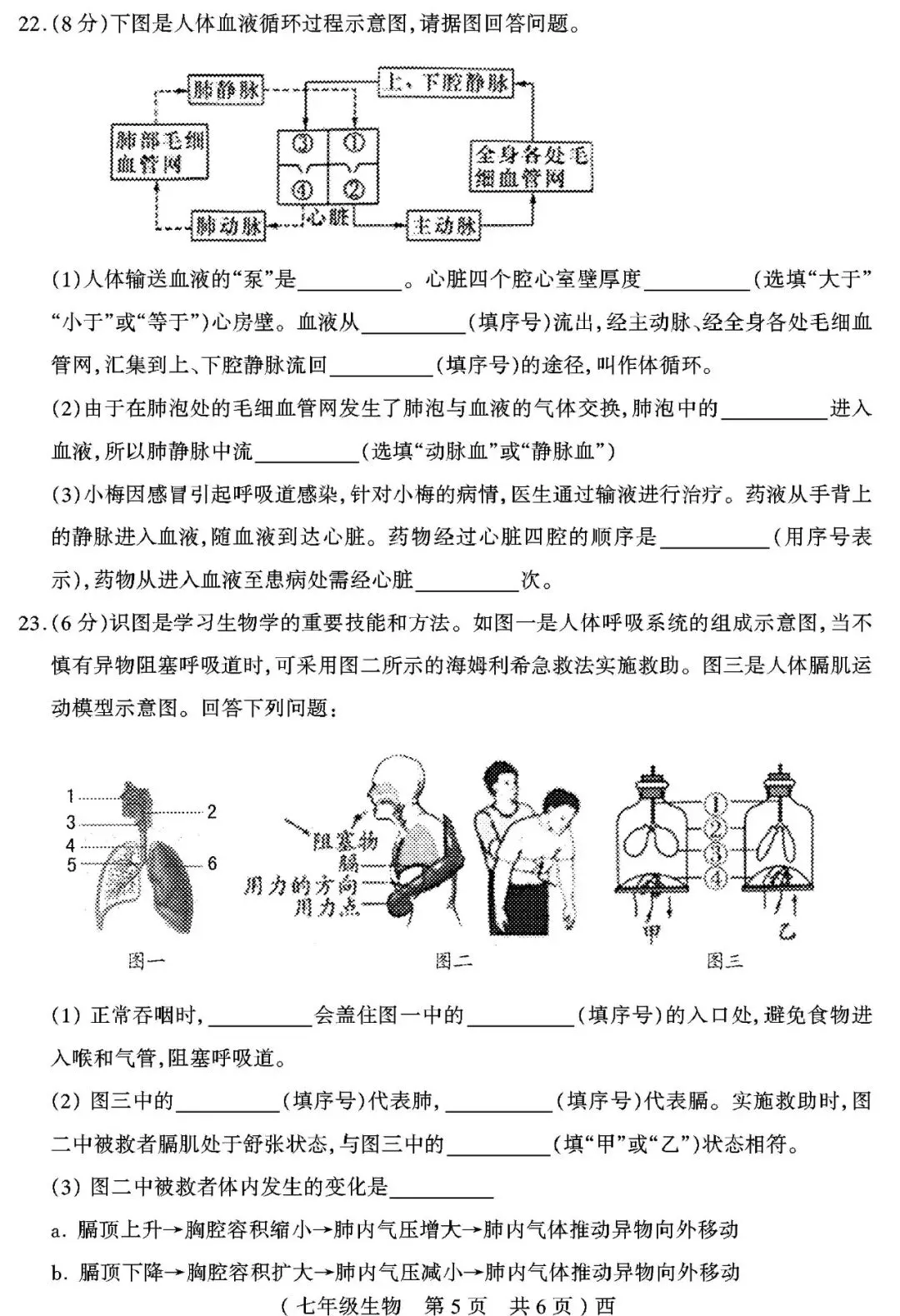 【真题再现】2025年春七年级生物期中试卷,后附答案 第6张