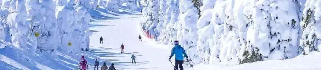 助力中考体测达标〡云顶高海拔体适能训练营将于7月15日开营 第10张