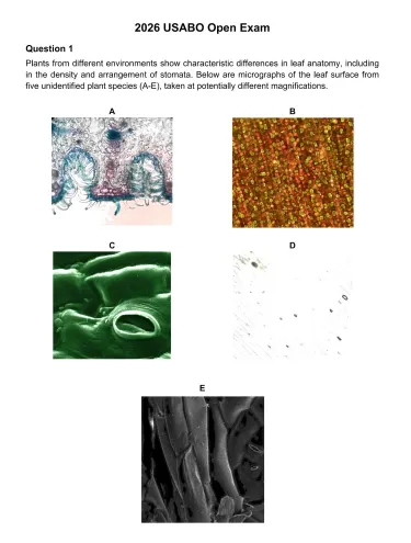 最新版USABO生物竞赛真题【2020-2026年】,免费领! 第4张 最新版USABO生物竞赛真题【2020-2026年】,免费领! 第4张