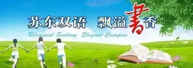 【苏东双语】决战中考,不负韶华——我校九(7)班主题班会如期举行 第24张