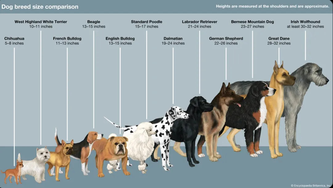 3 道IGF1真题讲透SAT科研题的同一套路 第6张