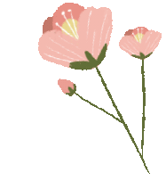 【教育叙事】95分的数学试卷 第5张