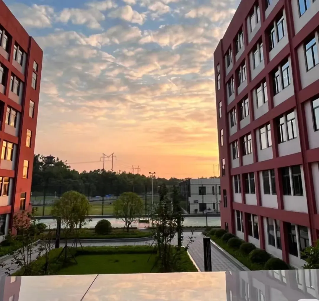 钱塘家长必看! 杭州中考成绩大盘点!重高/优高率清晰,升学择校不踩坑 第25张 钱塘家长必看! 杭州中考成绩大盘点!重高/优高率清晰,升学择校不踩坑 第25张