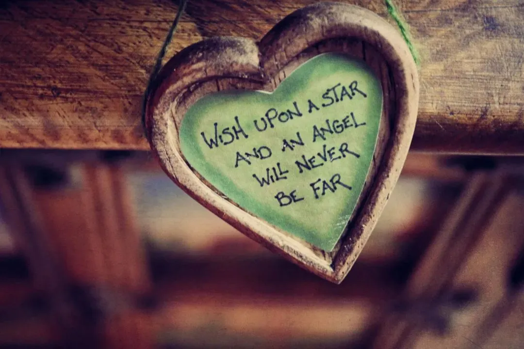 巅峰热文:《为什么我的高考试卷总是白纸啊?》欣欣(完整版)阅读/免费 第2张 巅峰热文:《为什么我的高考试卷总是白纸啊?》欣欣(完整版)阅读/免费 第2张