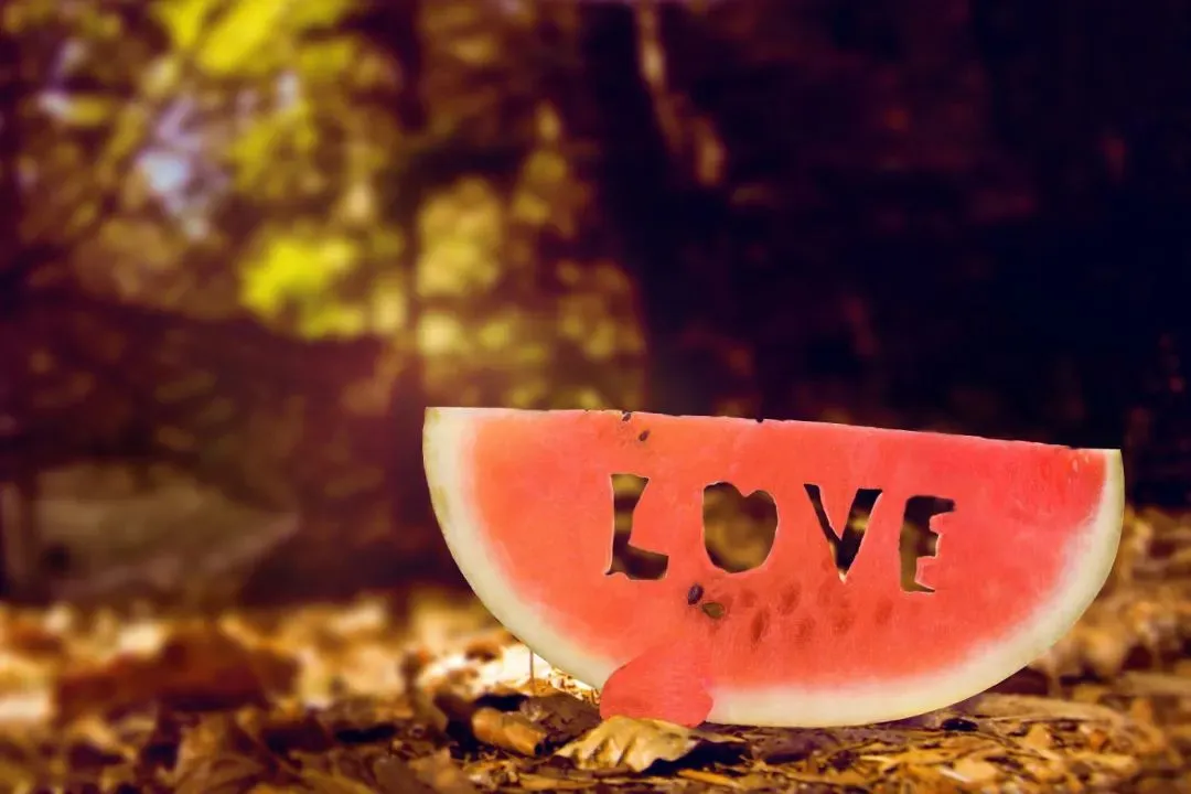 巅峰热文:《为什么我的高考试卷总是白纸啊?》欣欣(完整版)阅读/免费 第6张 巅峰热文:《为什么我的高考试卷总是白纸啊?》欣欣(完整版)阅读/免费 第6张