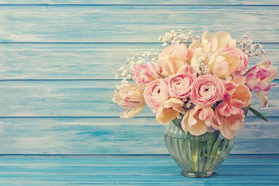 巅峰热文:《为什么我的高考试卷总是白纸啊?》欣欣(完整版)阅读/免费 第8张 巅峰热文:《为什么我的高考试卷总是白纸啊?》欣欣(完整版)阅读/免费 第8张