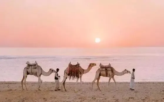 巅峰热文:《为什么我的高考试卷总是白纸啊?》欣欣(完整版)阅读/免费 第10张 巅峰热文:《为什么我的高考试卷总是白纸啊?》欣欣(完整版)阅读/免费 第10张