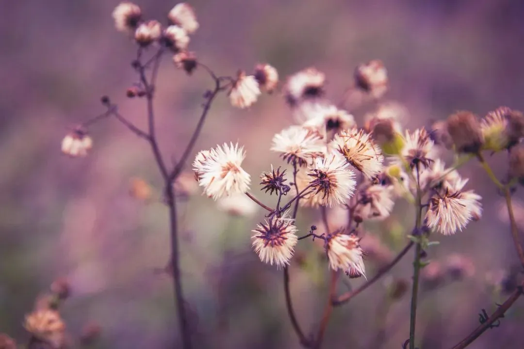 全篇阅读:《为什么我的高考试卷总是白纸啊?》欣欣(免费/下载)txt小说 第2张 全篇阅读:《为什么我的高考试卷总是白纸啊?》欣欣(免费/下载)txt小说 第2张