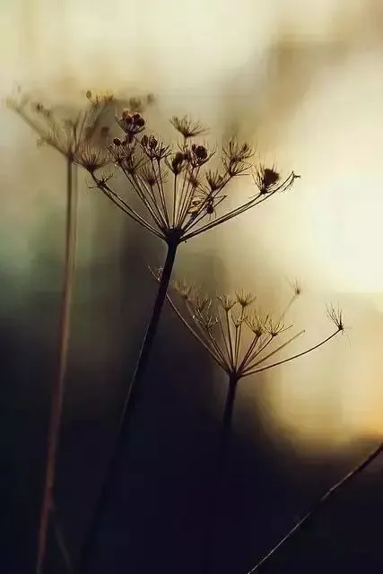 全篇阅读:《为什么我的高考试卷总是白纸啊?》欣欣(免费/下载)txt小说 第4张 全篇阅读:《为什么我的高考试卷总是白纸啊?》欣欣(免费/下载)txt小说 第4张