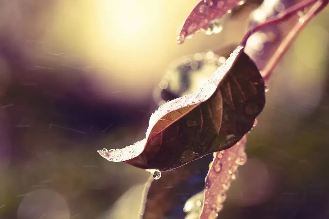 精選新章:《为什么我的高考试卷总是白纸啊?》欣欣阅读&全篇 第4张