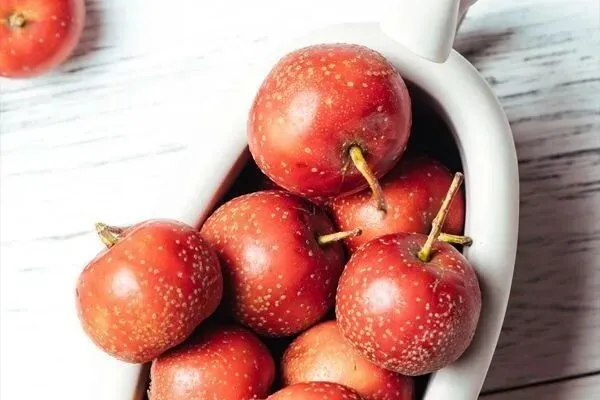 精選新章:《为什么我的高考试卷总是白纸啊?》欣欣阅读&全篇 第5张