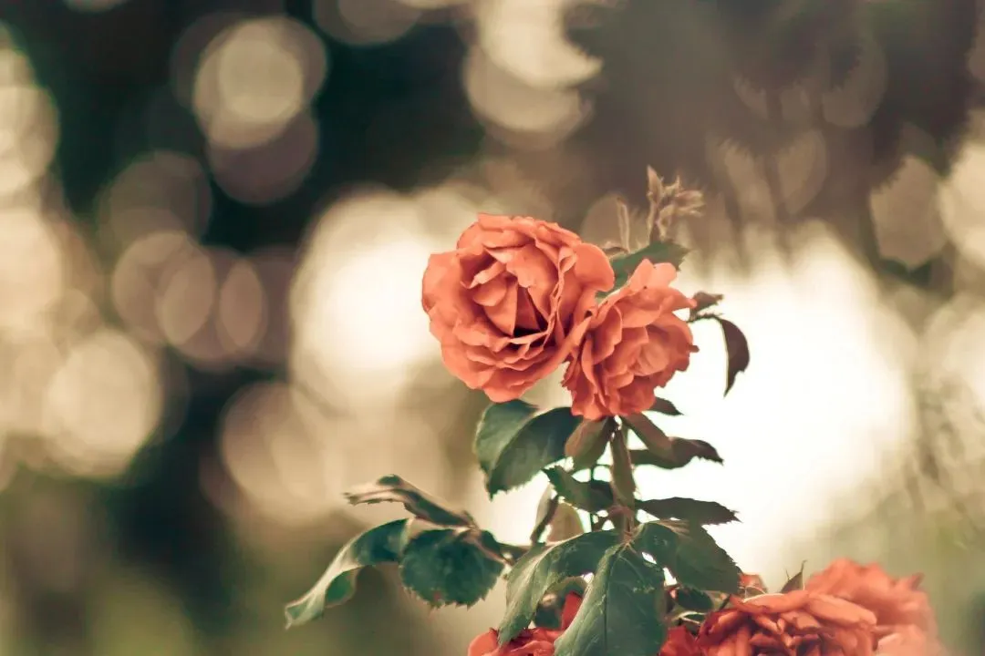 精選新章:《为什么我的高考试卷总是白纸啊?》欣欣阅读&全篇 第6张