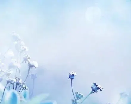 精選新章:《为什么我的高考试卷总是白纸啊?》欣欣阅读&全篇 第10张