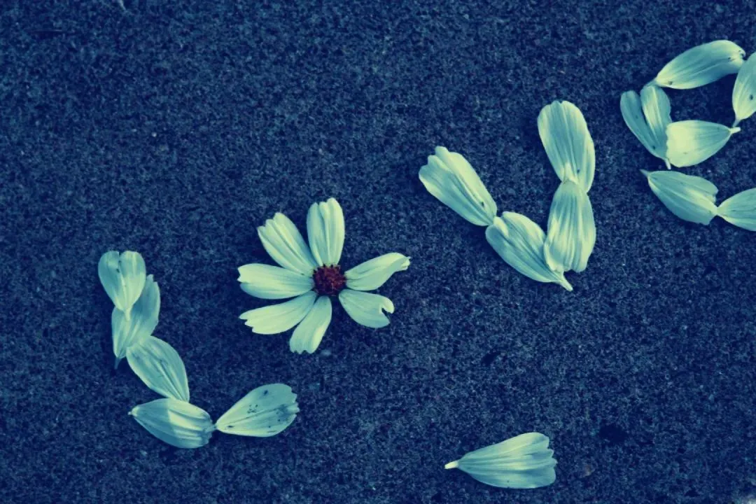 好书畅读:《为什么我的高考试卷总是白纸啊?》欣欣免费『小说』阅读 第5张