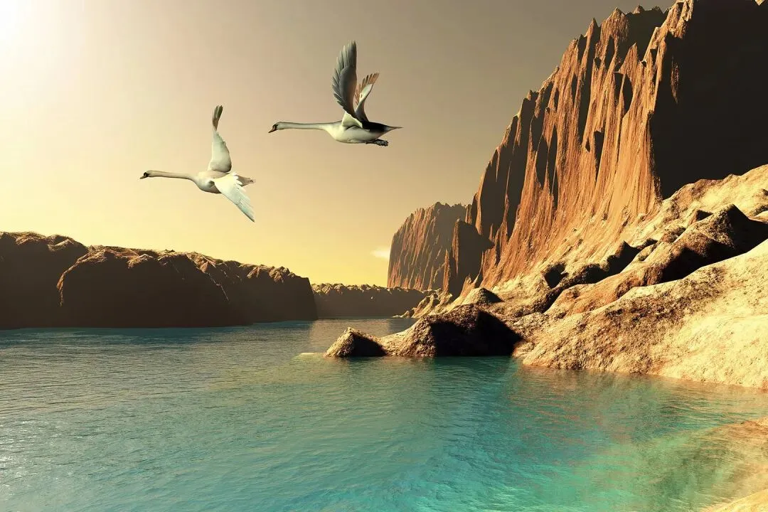 好书畅读:《为什么我的高考试卷总是白纸啊?》欣欣免费『小说』阅读 第8张