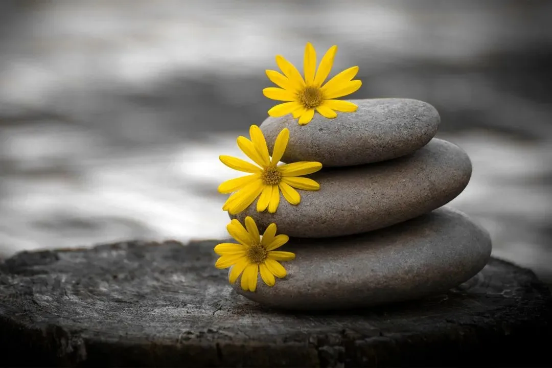 好书畅读:《为什么我的高考试卷总是白纸啊?》欣欣免费『小说』阅读 第9张