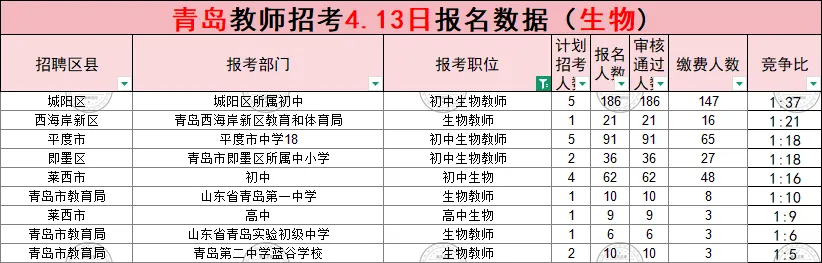 (领真题)2026年青岛市教师招考报名数据公示(截至4月13日16:00) 第14张
