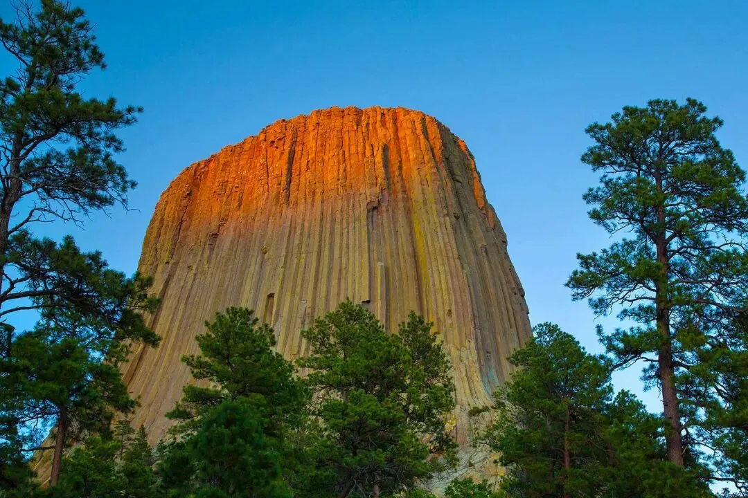 大神强推:《为什么我的高考试卷总是白纸啊?》欣欣(免费)txt小说 第4张 大神强推:《为什么我的高考试卷总是白纸啊?》欣欣(免费)txt小说 第4张