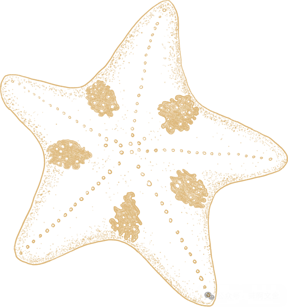 强推必看:《为什么我的高考试卷总是白纸啊?》欣欣完整章节(免费) 第1张 强推必看:《为什么我的高考试卷总是白纸啊?》欣欣完整章节(免费) 第1张