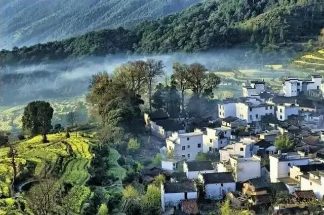 完整推荐:《为什么我的高考试卷总是白纸啊?》欣欣(TXT资源/免费)小说 第9张