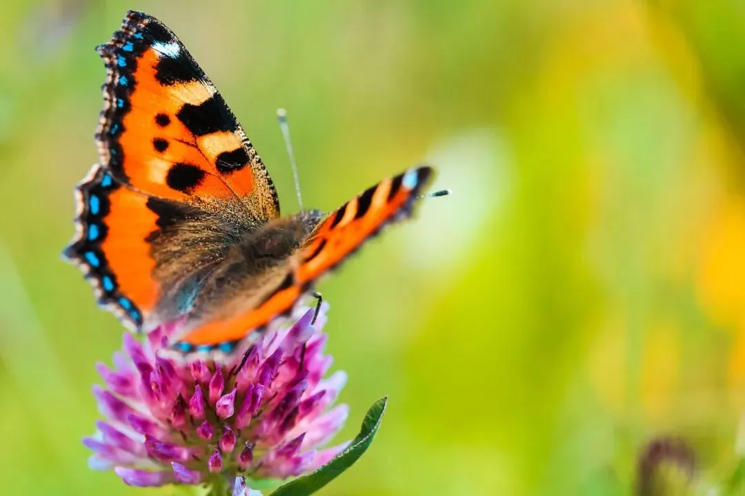 推荐热读:欣欣《为什么我的高考试卷总是白纸啊?》(免费/下载)txt小说 第4张