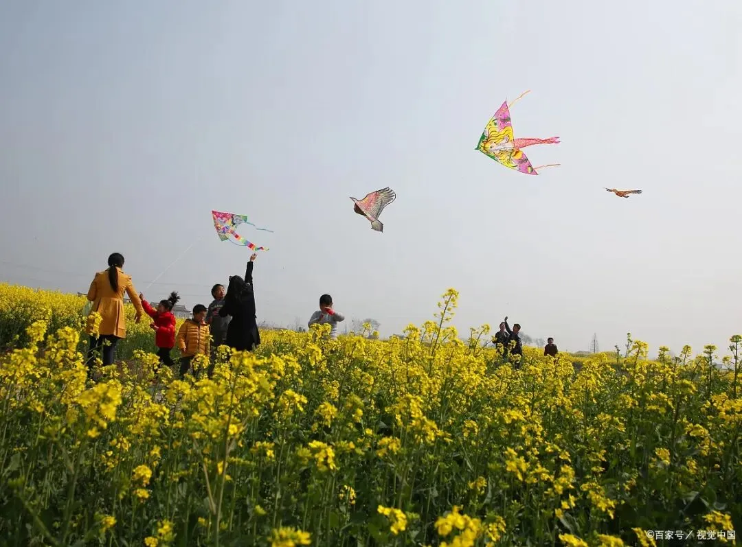 中考作文高分攻略:素材、技巧、结构,手把手教你写出满分佳作! 第13张 中考作文高分攻略:素材、技巧、结构,手把手教你写出满分佳作! 第13张