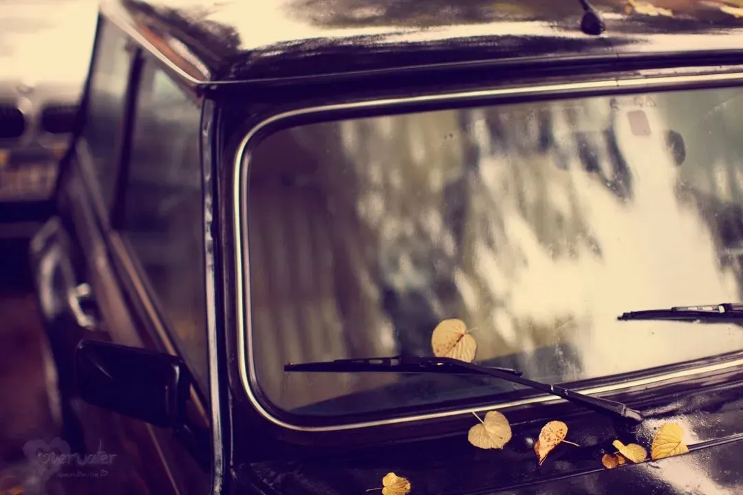 推荐热读:欣欣《为什么我的高考试卷总是白纸啊?》(免费/下载)txt小说 第6张