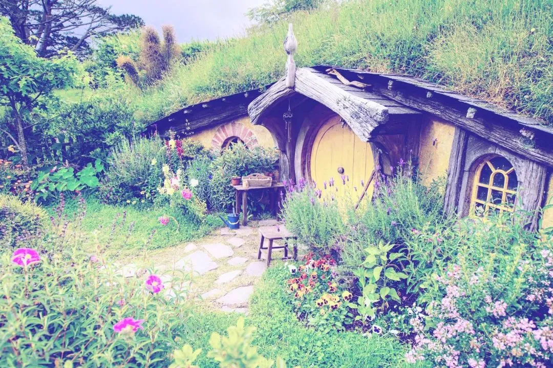 推荐热读:欣欣《为什么我的高考试卷总是白纸啊?》(免费/下载)txt小说 第8张