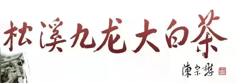 精准分层提效能 凝心聚力备中考——松溪一中召开2026年中考质量提升部署会 第11张