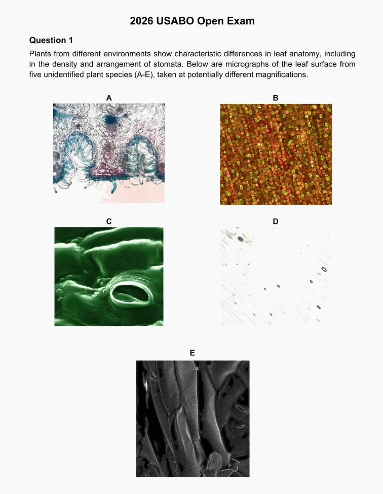 2026年USABO生物竞赛真题+答案解析完整版领取 第2张