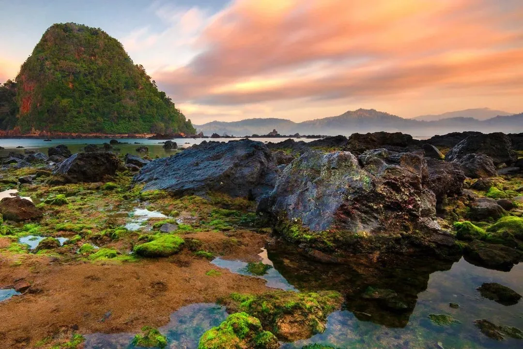 好书畅读:欣欣《为什么我的高考试卷总是白纸啊?》TXT阅读全文 第10张