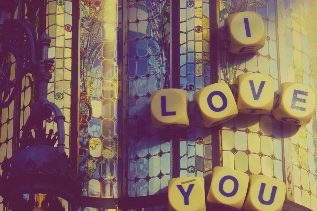 好书畅读:欣欣《为什么我的高考试卷总是白纸啊?》TXT阅读全文 第12张