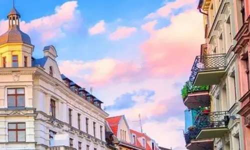 好书畅读:欣欣《为什么我的高考试卷总是白纸啊?》TXT阅读全文 第13张