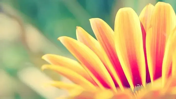 好书畅读:欣欣《为什么我的高考试卷总是白纸啊?》TXT阅读全文 第14张