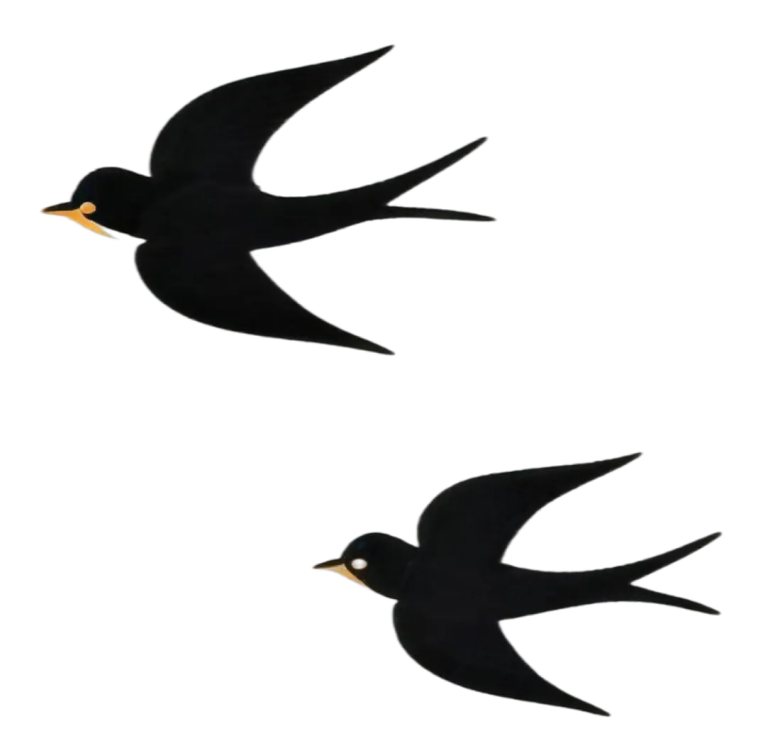 谨慎入局|近两年法硕真题到底在考什么能力? 第13张