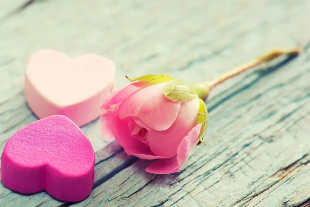 珍藏品读:欣欣《为什么我的高考试卷总是白纸啊?》(TXT资源/免费)小说 第6张