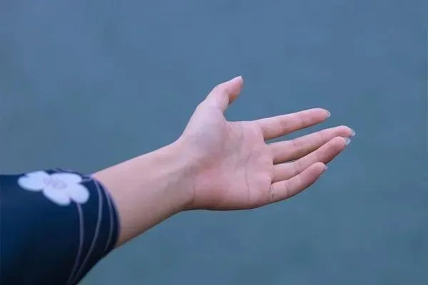 珍藏品读:欣欣《为什么我的高考试卷总是白纸啊?》(TXT资源/免费)小说 第7张