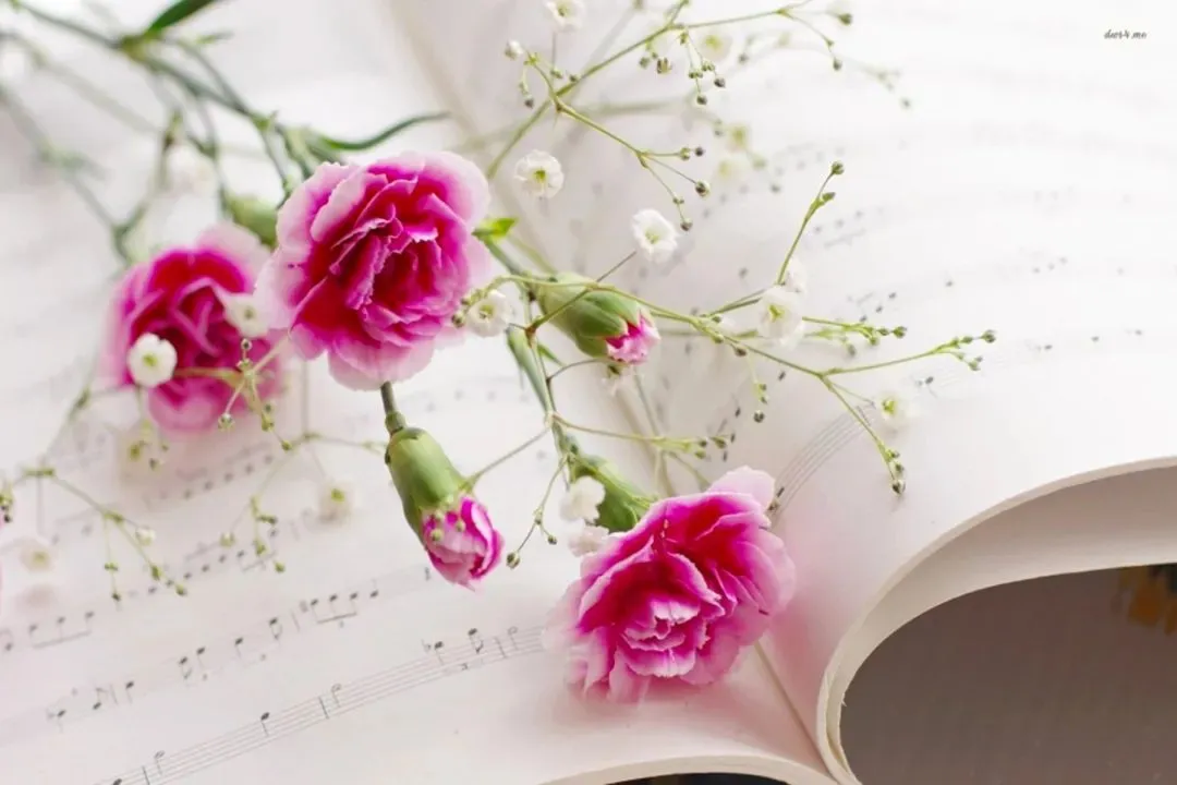 珍藏品读:欣欣《为什么我的高考试卷总是白纸啊?》(TXT资源/免费)小说 第8张