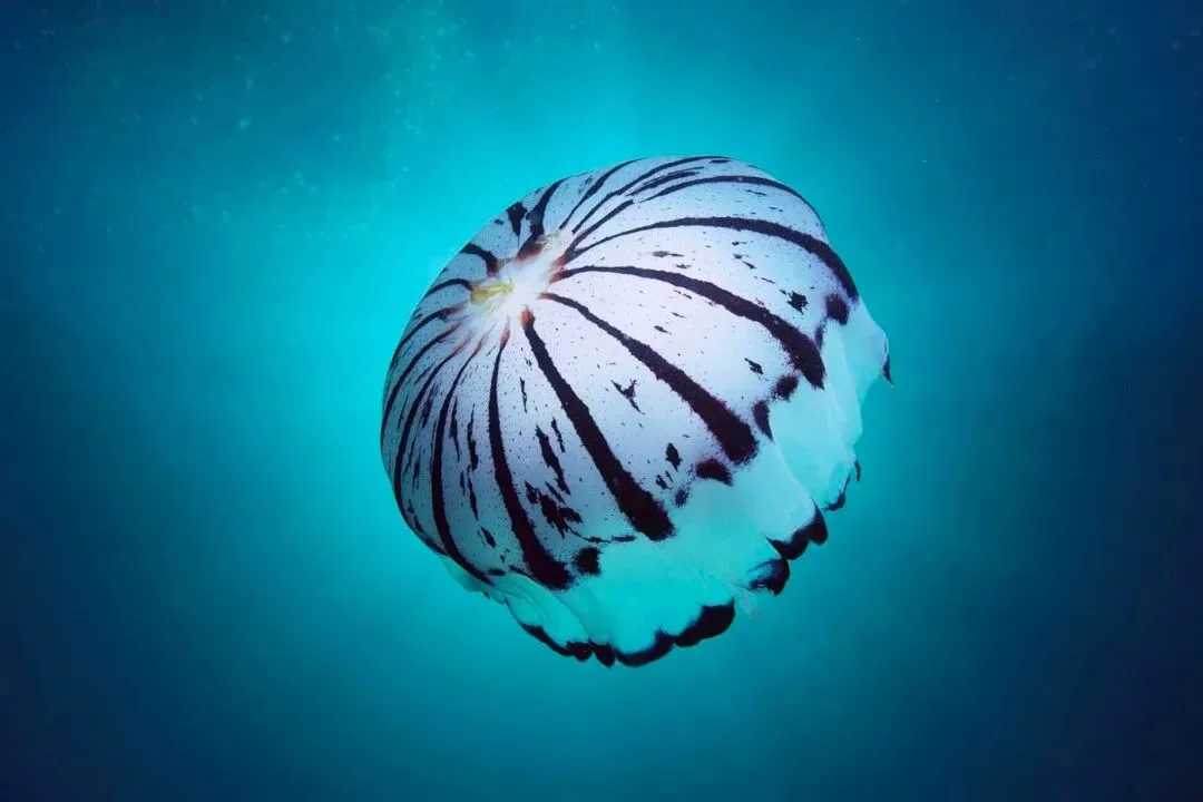 全新篇章:欣欣《为什么我的高考试卷总是白纸啊?》(TXT资源/免费)小说 第6张 全新篇章:欣欣《为什么我的高考试卷总是白纸啊?》(TXT资源/免费)小说 第6张