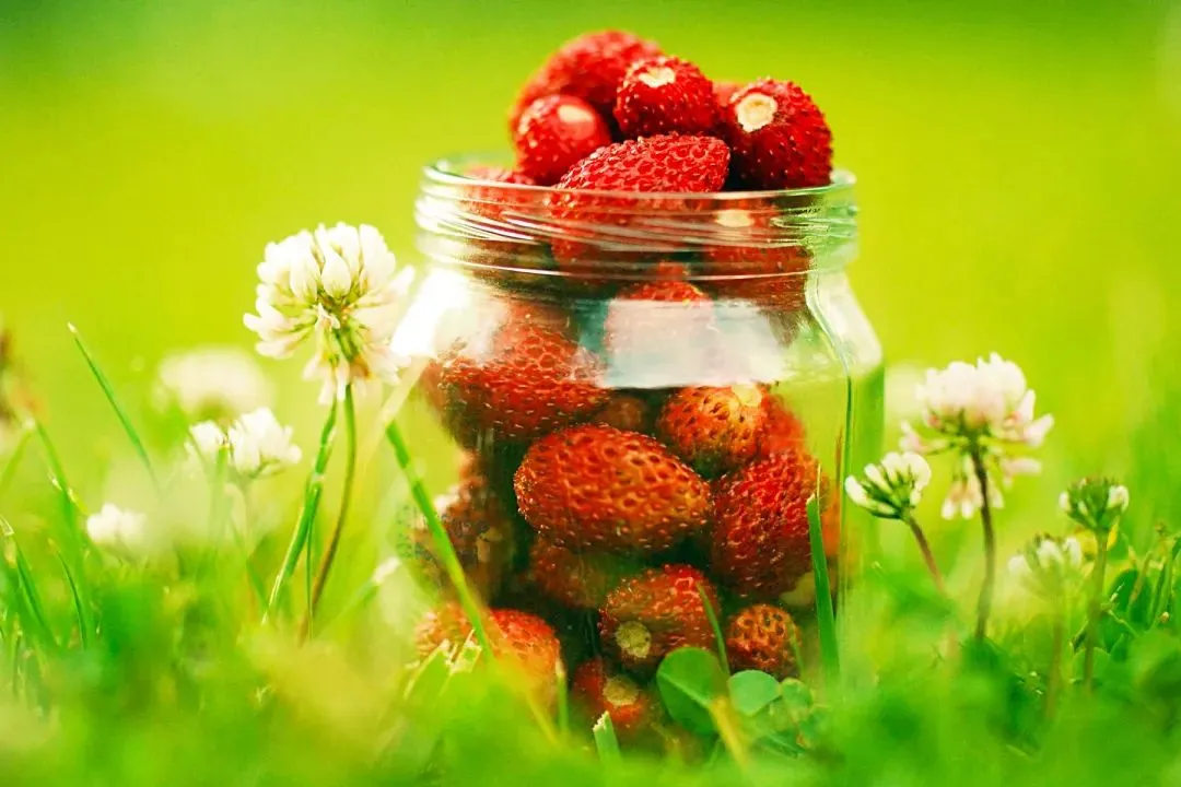 全新篇章:欣欣《为什么我的高考试卷总是白纸啊?》(TXT资源/免费)小说 第8张 全新篇章:欣欣《为什么我的高考试卷总是白纸啊?》(TXT资源/免费)小说 第8张