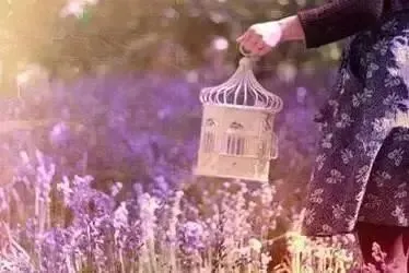 全新篇章:欣欣《为什么我的高考试卷总是白纸啊?》(TXT资源/免费)小说 第10张 全新篇章:欣欣《为什么我的高考试卷总是白纸啊?》(TXT资源/免费)小说 第10张