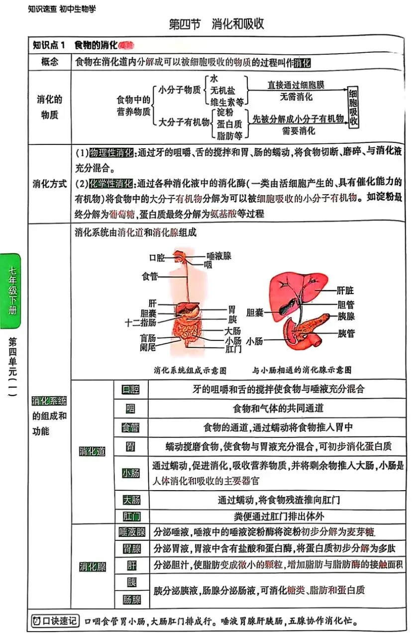 2026《√中考•初中知识速查》小四门PDF无水印高清电子版,网盘免费打包下载 第13张