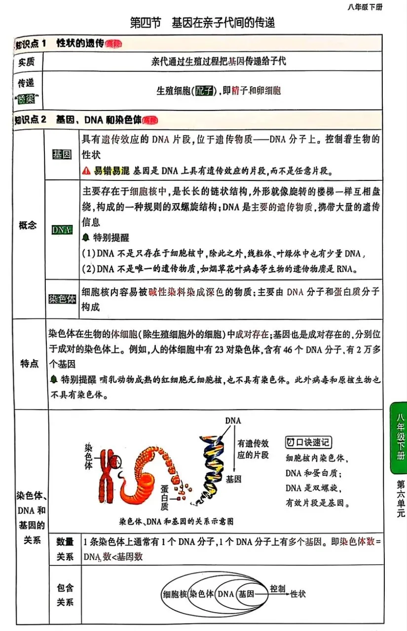 2026《√中考•初中知识速查》小四门PDF无水印高清电子版,网盘免费打包下载 第14张