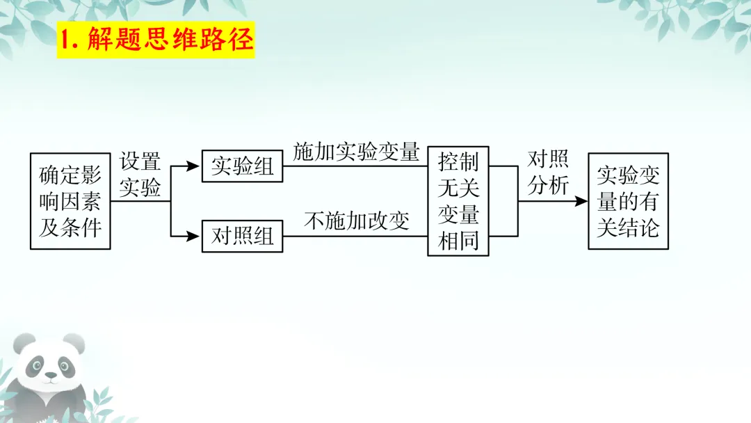 F845二轮中考专题复习 决胜中考2026 优质课资源包 初中化学《专题复习-科学探究-控制变量思想的实验(含对比实验)》课件PPT+教学设计Word 第4张