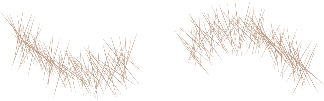 范文讲解双黄蛋:育才真题《相互激活》+25越秀一模《一边是传统,一边是现代》 第8张