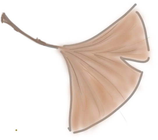 范文讲解双黄蛋:育才真题《相互激活》+25越秀一模《一边是传统,一边是现代》 第22张