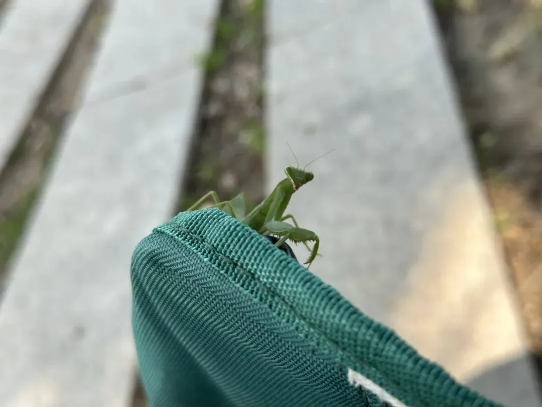 中考越来越近,一点小反思 第2张